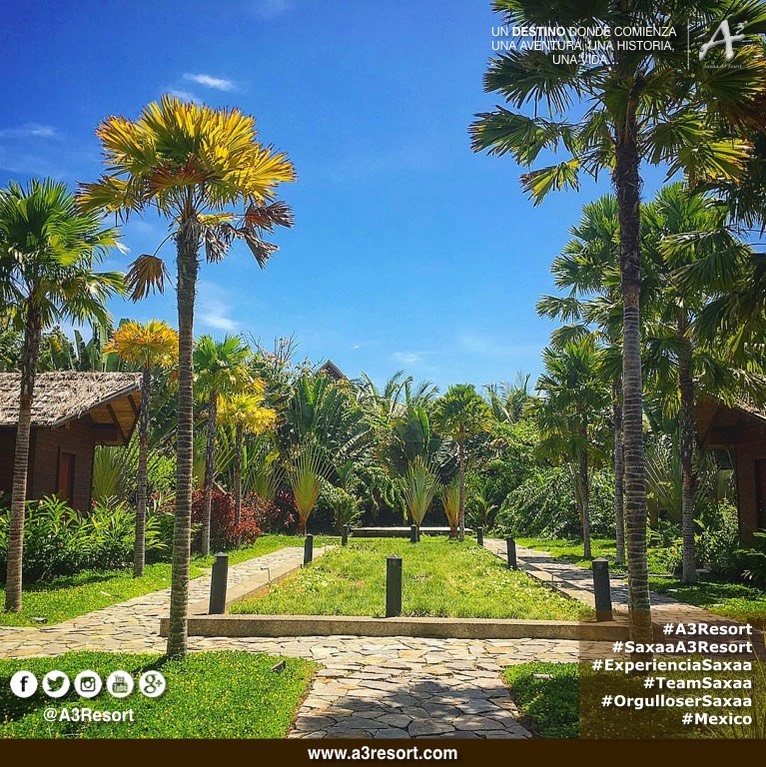 Posters_saxaa_a3_resort_86_Fotor